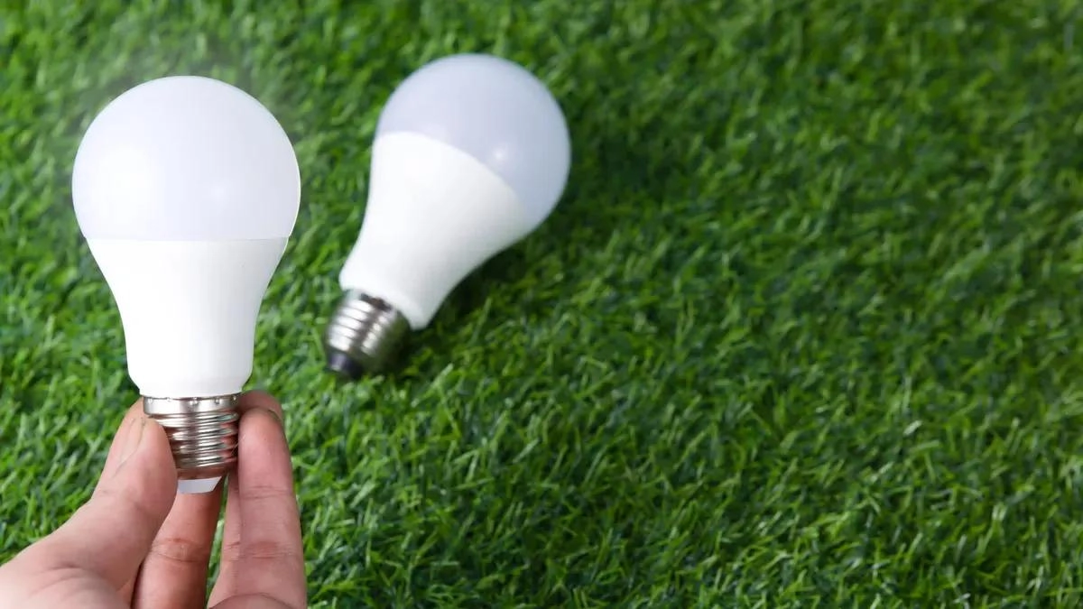 高効率 LED フレックスと標準フレックス: ROI と省エネ